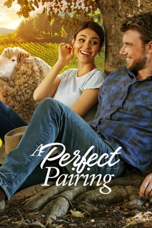 A Perfect Pairing (2022) Hindi Dual Audio HDRip 720p – 480p A Perfect Pairing (2022) Hindi Dual Audio HDRip 720p – 480p