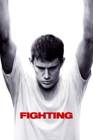 Fighting (2009) 100mb Hindi Dual Audio Hevc BRRip Download Fighting (2009) 100mb Hindi Dual Audio Hevc BRRip Download